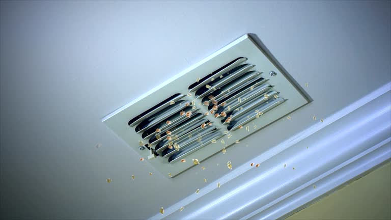 Best HVAC Duct Inspection Services  in Oak Brook, IL